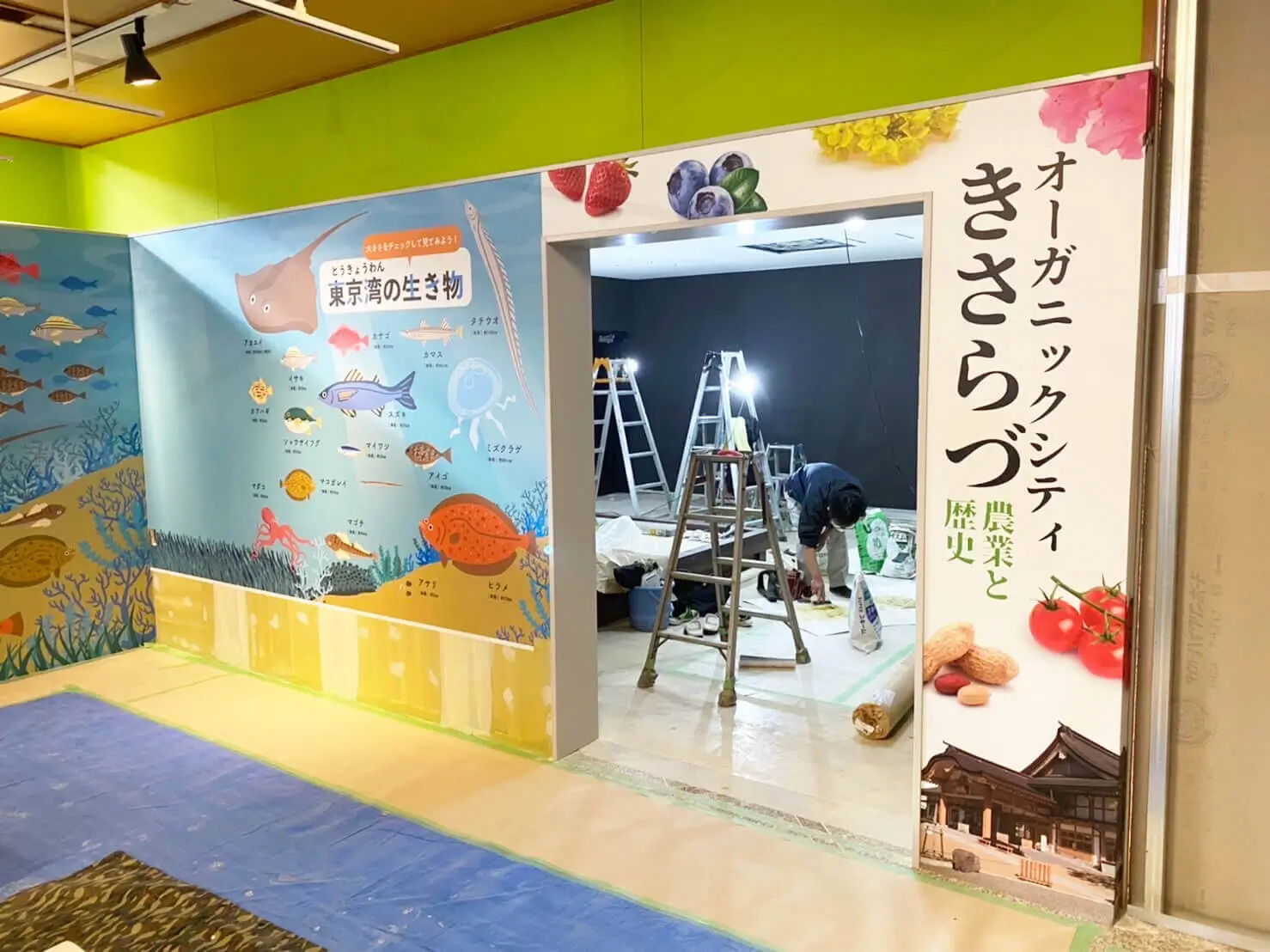 東京湾の生き物・木更津テナントサイン工事